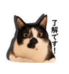 とぅんのとと（個別スタンプ：9）