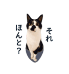 とぅんのとと（個別スタンプ：14）