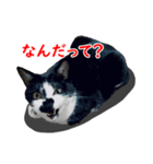 とぅんのとと（個別スタンプ：15）