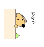 毎日使えるこたろうスタンプ（個別スタンプ：36）