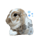 にこちゃんのまいにち使える〜！スタンプ（個別スタンプ：6）