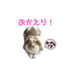 にこちゃんのまいにち使える〜！スタンプ（個別スタンプ：23）