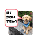 きみどこの子？うちの子もーちゃん2（個別スタンプ：3）