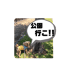 きみどこの子？うちの子もーちゃん2（個別スタンプ：5）