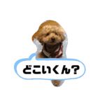 きみどこの子？うちの子もーちゃん2（個別スタンプ：18）