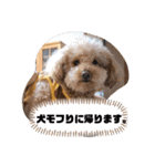 きみどこの子？うちの子もーちゃん2（個別スタンプ：25）