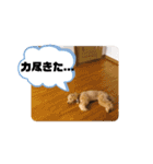 きみどこの子？うちの子もーちゃん2（個別スタンプ：32）