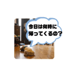 きみどこの子？うちの子もーちゃん2（個別スタンプ：39）