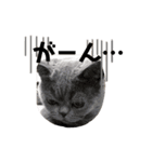 もふもふねこのだいふく（個別スタンプ：27）