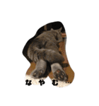 もふもふねこのだいふく（個別スタンプ：29）