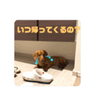成毛家のビクターくん（個別スタンプ：7）