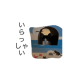 ハチワレねおくん3（個別スタンプ：6）