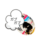 ハチワレねおくん3（個別スタンプ：10）