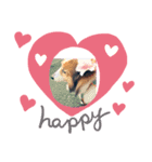 愛犬チェリーちゃんとの日々（個別スタンプ：1）