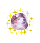 愛犬チェリーちゃんとの日々（個別スタンプ：5）