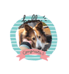 愛犬チェリーちゃんとの日々（個別スタンプ：7）