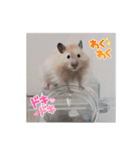 わらびくんのハムハムスタンプ（個別スタンプ：2）