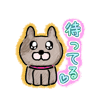 毎日使える。色鉛筆の癒しのわんこ（個別スタンプ：3）