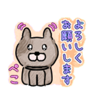 毎日使える。色鉛筆の癒しのわんこ（個別スタンプ：8）