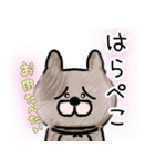 毎日使える。色鉛筆の癒しのわんこ（個別スタンプ：14）