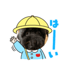 まめとれっちゃんっ（個別スタンプ：1）