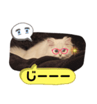 ななちゃんペルシャ（個別スタンプ：9）