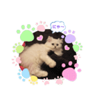 ななちゃんペルシャ（個別スタンプ：12）