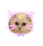 ななちゃんペルシャ（個別スタンプ：14）