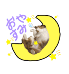 すてきち いち（個別スタンプ：6）