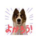 すてきち いち（個別スタンプ：10）