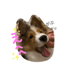 すてきち いち（個別スタンプ：17）