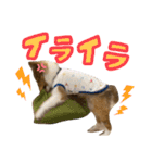 すてきち いち（個別スタンプ：18）