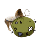 すてきち いち（個別スタンプ：19）