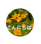 梅雨時期の紫陽花スタンプ（個別スタンプ：6）