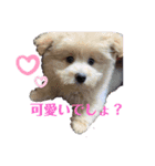 なおなし（個別スタンプ：6）
