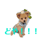 なおなし（個別スタンプ：8）