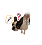 ぷちょぶる（個別スタンプ：2）