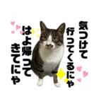 ねこ挨拶すたんぷ   2（個別スタンプ：3）