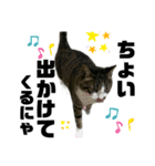 ねこ挨拶すたんぷ   2（個別スタンプ：5）