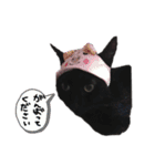 くろみつの敬語多めすたんぷ。（個別スタンプ：3）