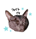 くろみつの敬語多めすたんぷ。（個別スタンプ：4）