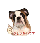 ブルヘイです！（個別スタンプ：1）