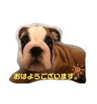 ブルヘイです！（個別スタンプ：2）