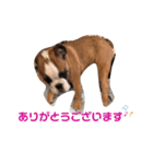 ブルヘイです！（個別スタンプ：8）