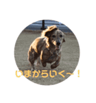 あしゅこのすたんぷ（個別スタンプ：3）