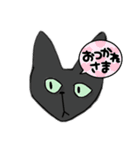 使いにくくない黒猫（個別スタンプ：1）