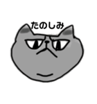 使いにくくない黒猫（個別スタンプ：11）