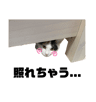 おれらの猫たち2（個別スタンプ：12）