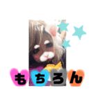 めろスタ○8弾★皆に送れる言葉特集✩•*¨（個別スタンプ：25）