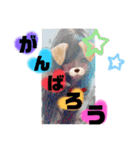 めろスタ○8弾★皆に送れる言葉特集✩•*¨（個別スタンプ：31）
